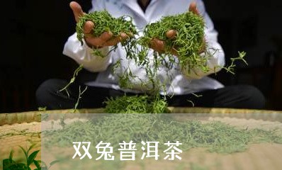 双兔普洱茶/2023081893714