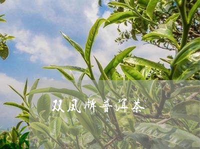 双凤牌普洱茶/2023042877499