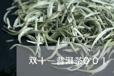 双十一普洱茶001/2023082904259