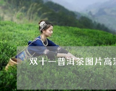 双十一普洱茶图片高清图/2023050637429