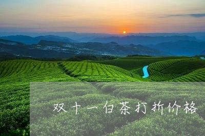 双十一白茶打折价格/2023071659371