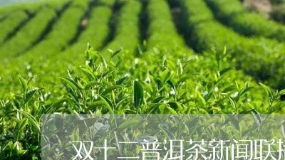 双十二普洱茶新闻联播/2023062915038