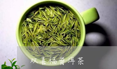 双喜福普洱茶/2023042646012