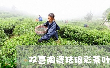 双喜陶瓷珐琅彩茶叶罐/2023092220503