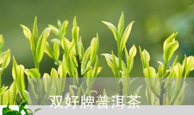 双好牌普洱茶/2023042838885