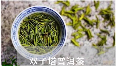 双子塔普洱茶/2023042989185