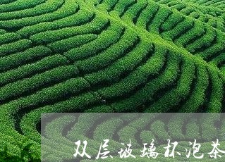 双层玻璃杯泡茶可以吗/2023092018361