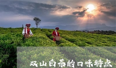 双山白茶的口味特点/2023121749472