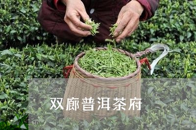 双廊普洱茶府/2023042940041