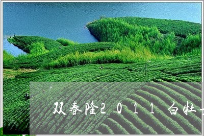 双春隆2011白牡丹/2023120986058