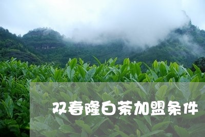 双春隆白茶加盟条件/2023071551816