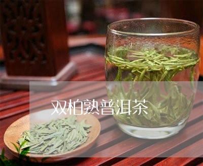 双柏熟普洱茶/2023042713106