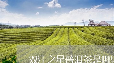 双江之星普洱茶是哪里的/2023120744937