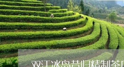 双江冰岛昔归精制茶厂/2023060895539