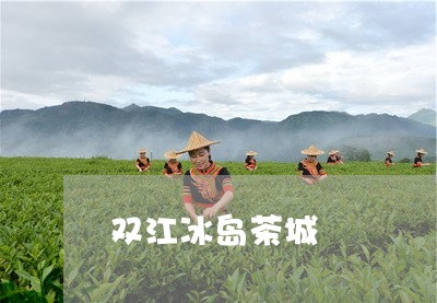 双江冰岛茶城/2023090774036