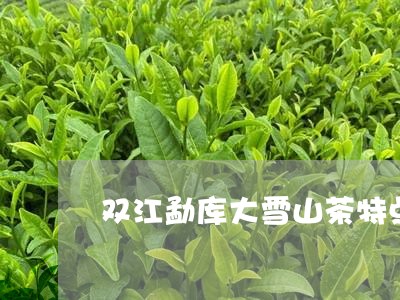 双江勐库大雪山茶特点/2023071369581