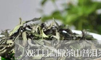 双江县勐撒茶山普洱茶/2023072418379