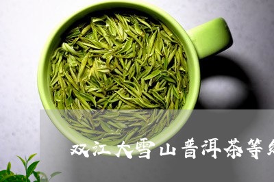 双江大雪山普洱茶等级/2023062273025