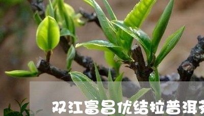 双江富昌优结拉普洱茶/2023072273037