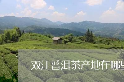 双江普洱茶产地在哪里/2023082916379