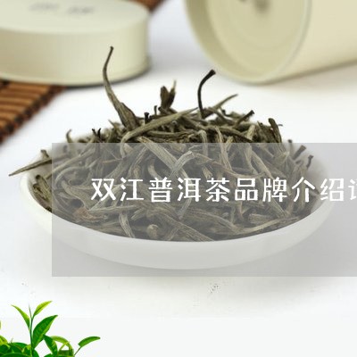 双江普洱茶品牌介绍词简短/2023110570694