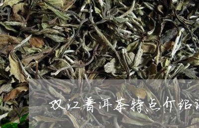 双江普洱茶特点介绍词句/2023120746591