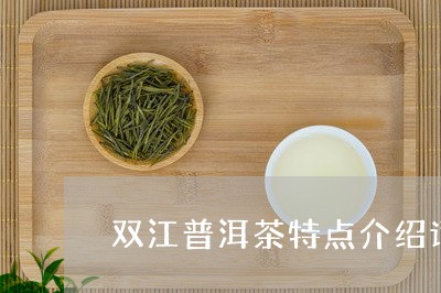 双江普洱茶特点介绍词汇/2023120794758