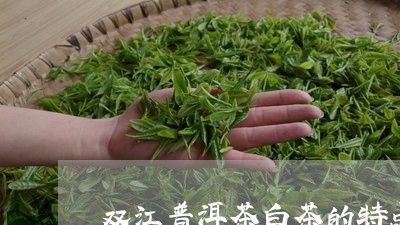 双江普洱茶白茶的特点/2023100817261