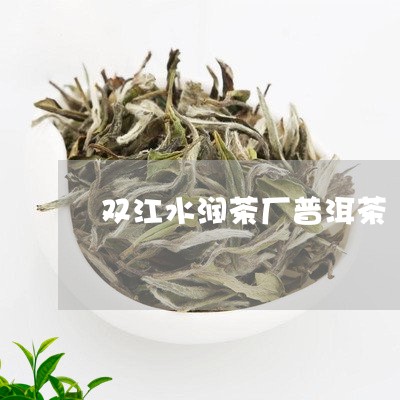 双江水润茶厂普洱茶/2023091552613