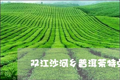 双江沙河乡普洱茶特点/2023080186163