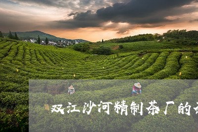 双江沙河精制茶厂的茶/2023071501404