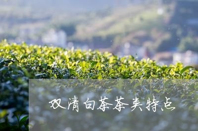 双清白茶茶类特点/2023061572826