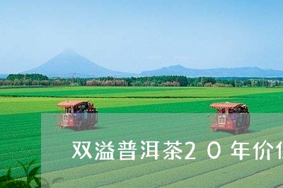 双溢普洱茶20年价位/2023061805280