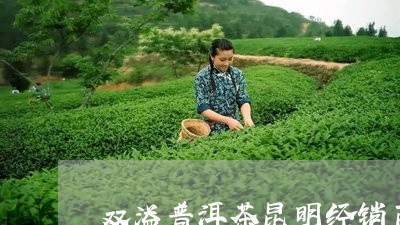 双溢普洱茶昆明经销商/2023092839492