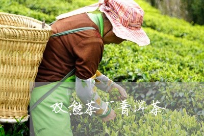 双熊茶厂普洱茶/2023082962149