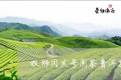 双狮同庆号圆茶普洱茶/2023062305261