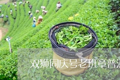 双狮同庆号老班章普洱茶/2023120770381