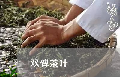 双碑茶叶/2023110857359