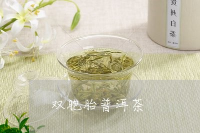 双胞胎普洱茶/2023082968391