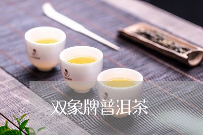 双象牌普洱茶/2023091341486