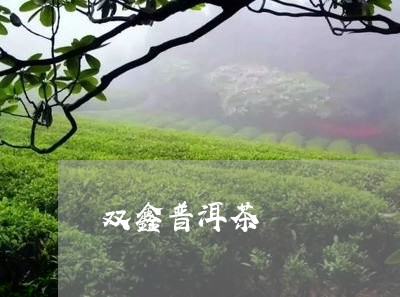 双鑫普洱茶/2023102595946