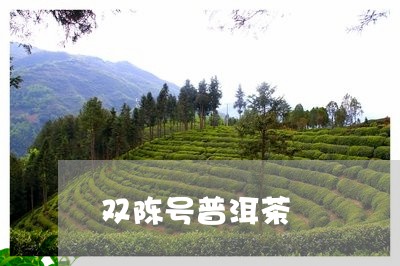 双陈号普洱茶/2023042547690