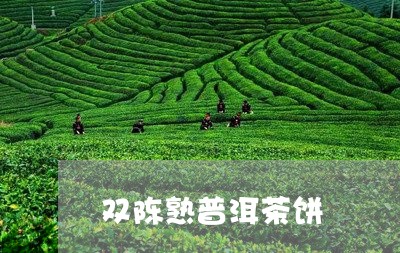 双陈熟普洱茶饼/2023102649372