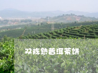 双陈熟普洱茶饼/2023120338048