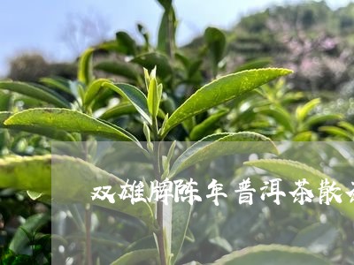 双雄牌陈年普洱茶散茶/2023100750594