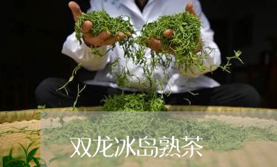 双龙冰岛熟茶/2023090762716