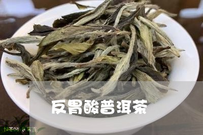 反胃酸普洱茶/2023042785461