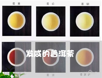 发咸的普洱茶/2023042860272