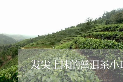 发尖上抹的普洱茶小巧/2023092717592