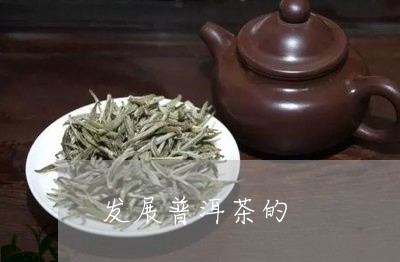 发展普洱茶的/2023042716987